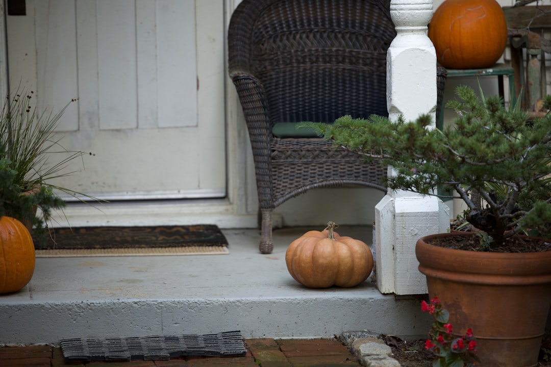 Seasonal Decorating Ideas to Refresh Your Home Year-Round